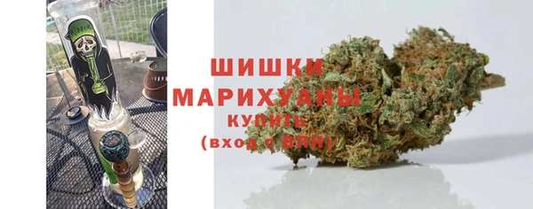 спайс Мегион