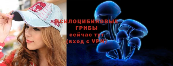 крисы Медногорск