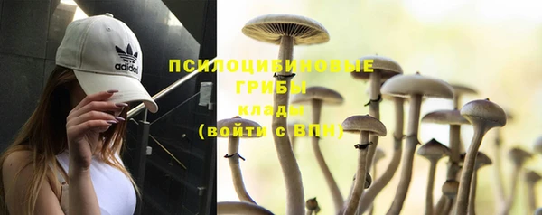 спайс Мегион