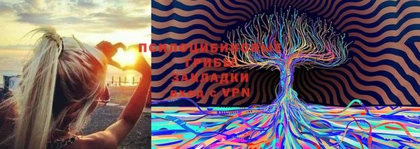 крисы Медногорск