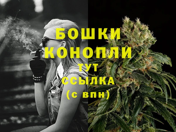 крисы Медногорск